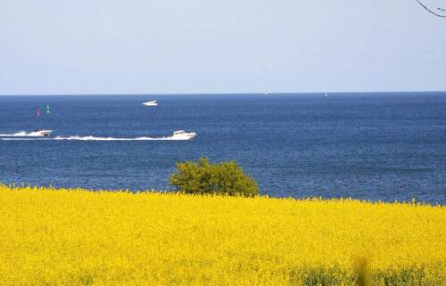 Wassersport in Schönhagen - 
