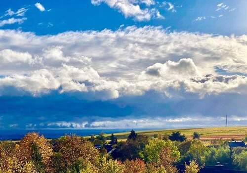 Blick in die Rheinebene - 