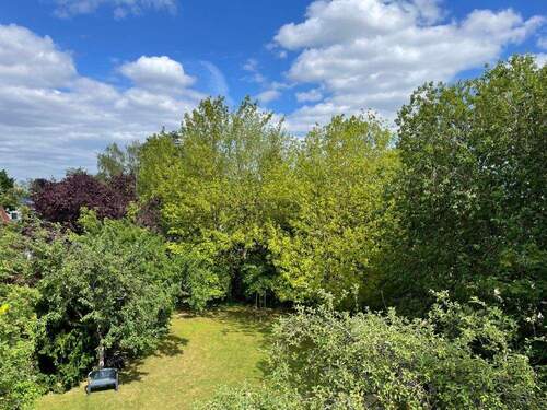 Ausblick Richtung Garten - 