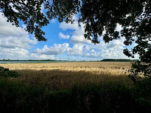 Ihr Ausblick aus dem Garten - 