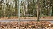 Ausblick - 