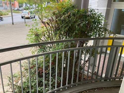 Balkon - 