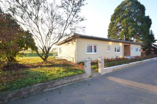 Riesen-Bungalow - 5 Zimmer Bungalow zur Miete in Otzberg