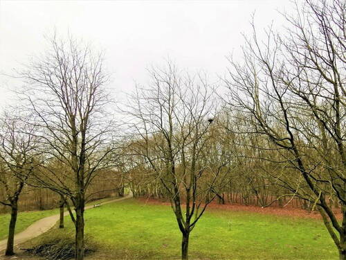 Blick vom Balkon - 