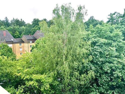 Blick von ihrem Balkon - 
