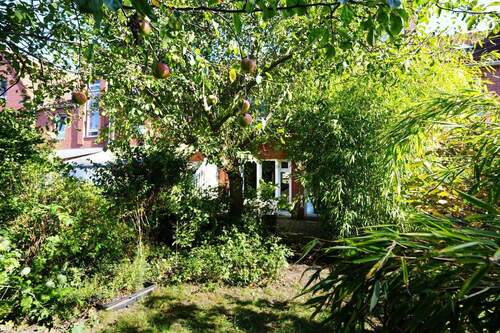 Garten in Richtung Haus - 