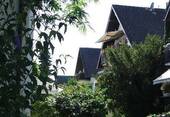 Ruhiges Wohngebiet - 