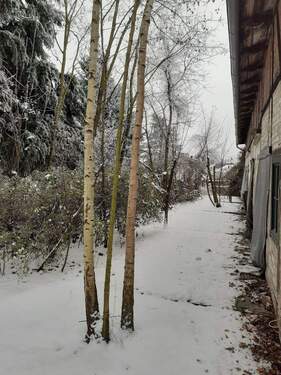 Nordostseite mit Terrassenausgängen.jpg - 