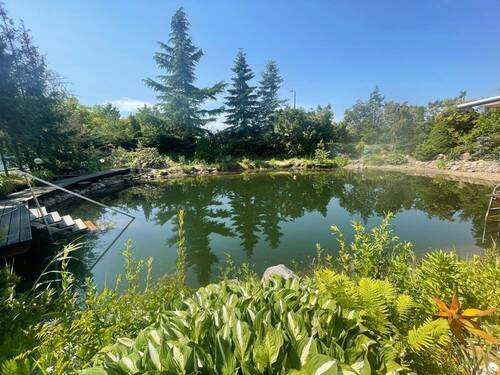 Teich - 