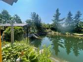 Schwimmteich - 
