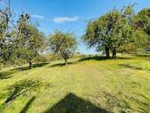 großer Garten - 