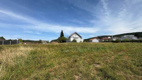 Ansicht 2 - Grundstück in Brandau zum Kaufen