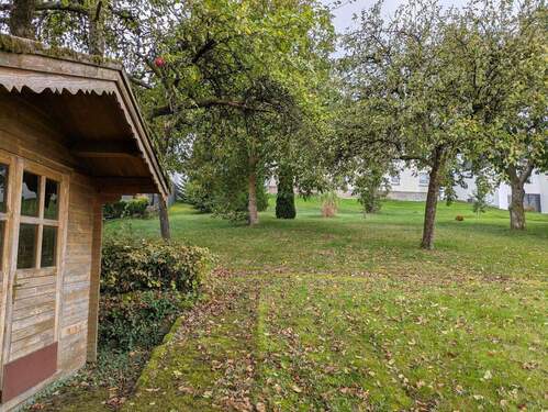 Garten mit Obstbäumen - 