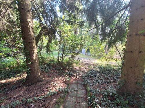 Blick von der Terrasse - 