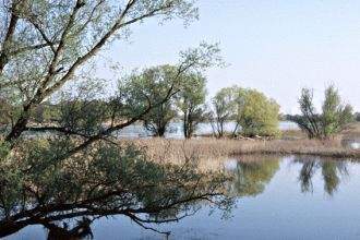 Umgebungseindrücke - 