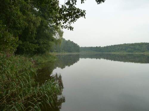 Blick auf den Göhlensee - 