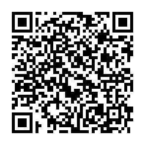 QR-Code - 