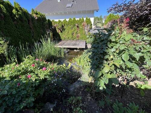 Bild19 - 