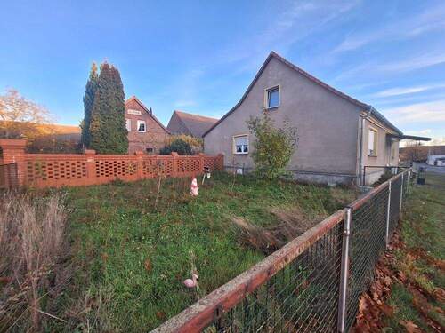 Blick auf den gepachteten Garten - 