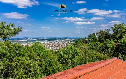 Ausblick mit Dach - 