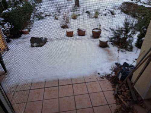 Terrassenblick.jpg - Etagenwohnung mit 51,00 m&sup2; in Berlin zum Kaufen