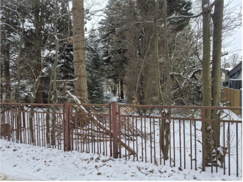 Außenansicht.PNG - Baugrundstück in Chemnitz - 99.000,00&nbsp;EUR Kaufpreis, ca.&nbsp; 0,00&nbsp;m&sup2;