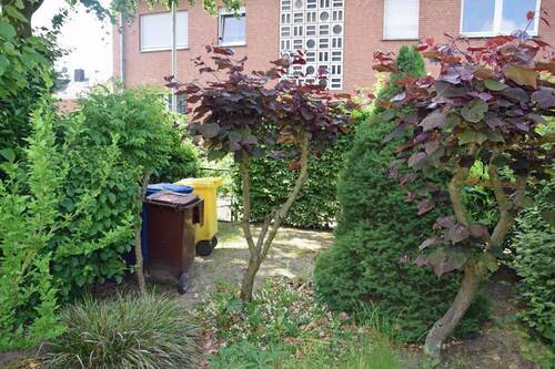 Garten - 