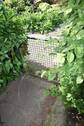 rückwertiger Gartenzugang - 