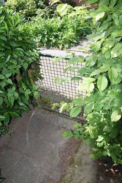 rückwertiger Gartenzugang - 