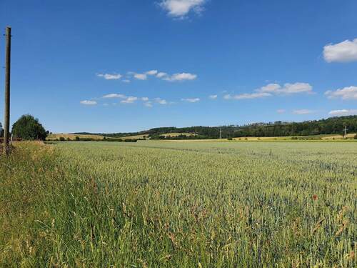Münchehoff - 1.jpg - 5 Zimmer Einfamilienhaus zum Kaufen in Seesen