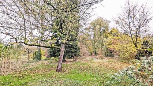 Garten mit Baubestand - 