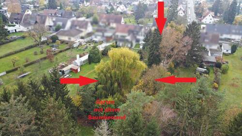 Grundstück mit altem Baumbestand - 