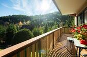 Aussicht vom Balkon - 