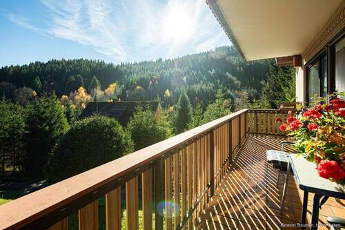 Aussicht vom Balkon - 