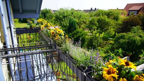 Balkon Sommer - 
