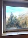 Blick aus dem Küchenfenster - 