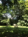 Bild 12 - 