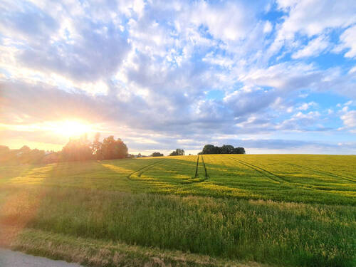 Aussicht - Grundstück in Ruhstorf an der Rott zum Kaufen