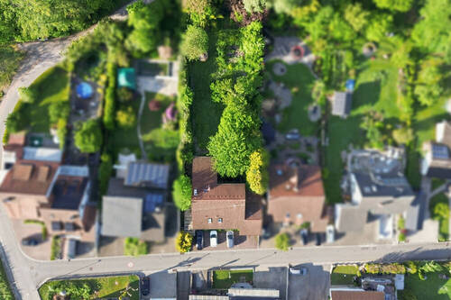 Gesamtes Grundstück - 