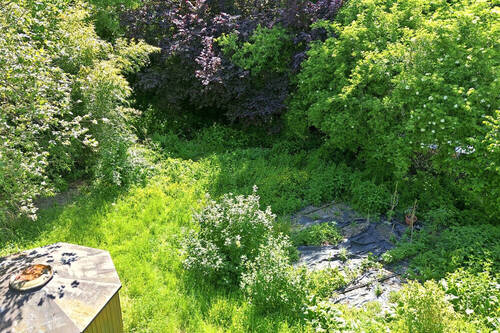 Weg vom Gartenbeet zum Bach - 