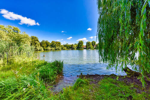 Schäfersee - 