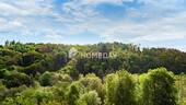 Ausblick - 