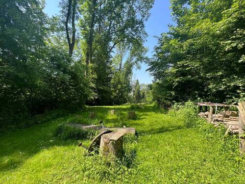 Bild1 - Freizeitgrundstück in fantastischer Lage mit Blockhütte