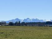 Ausblick - 