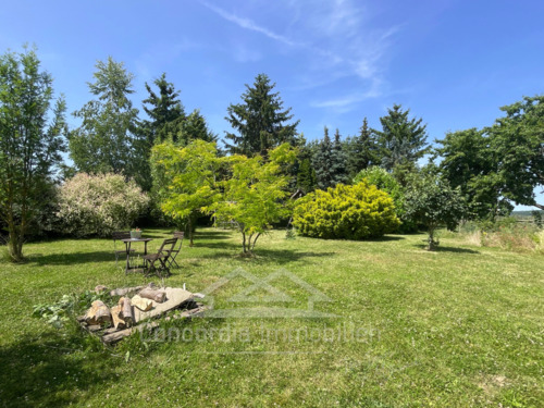 großer weitläufiger Garten - 