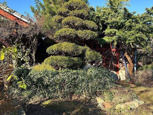 Haus-Grundstück 19.JPG - 