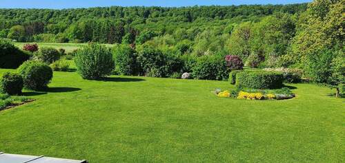 Blick in den Garten - 