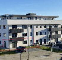 2 Raum Wohnung mit Wohnküche im Erdgeschoss mit Terrasse Aufzug und PKW-Stellplatz - Stralsund Andershof