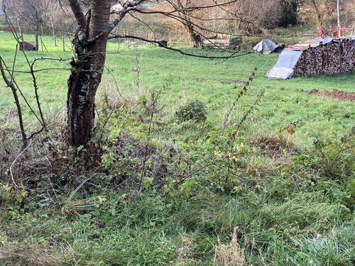 Garten - Mehrfamilienhaus, Wohnhaus mit 160,00 m&sup2; in Wadern zum Kaufen