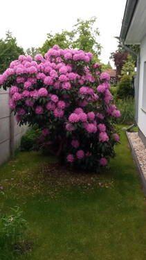 Bild 17 - 